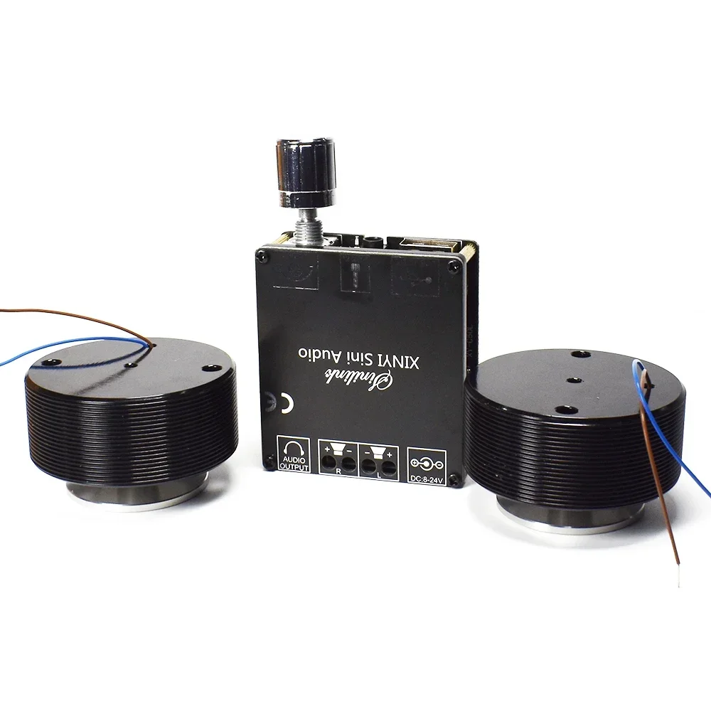 1 Set 50W 2.0 HIFI Vibration S - Home Cinema Amplifier ulasan dan harga