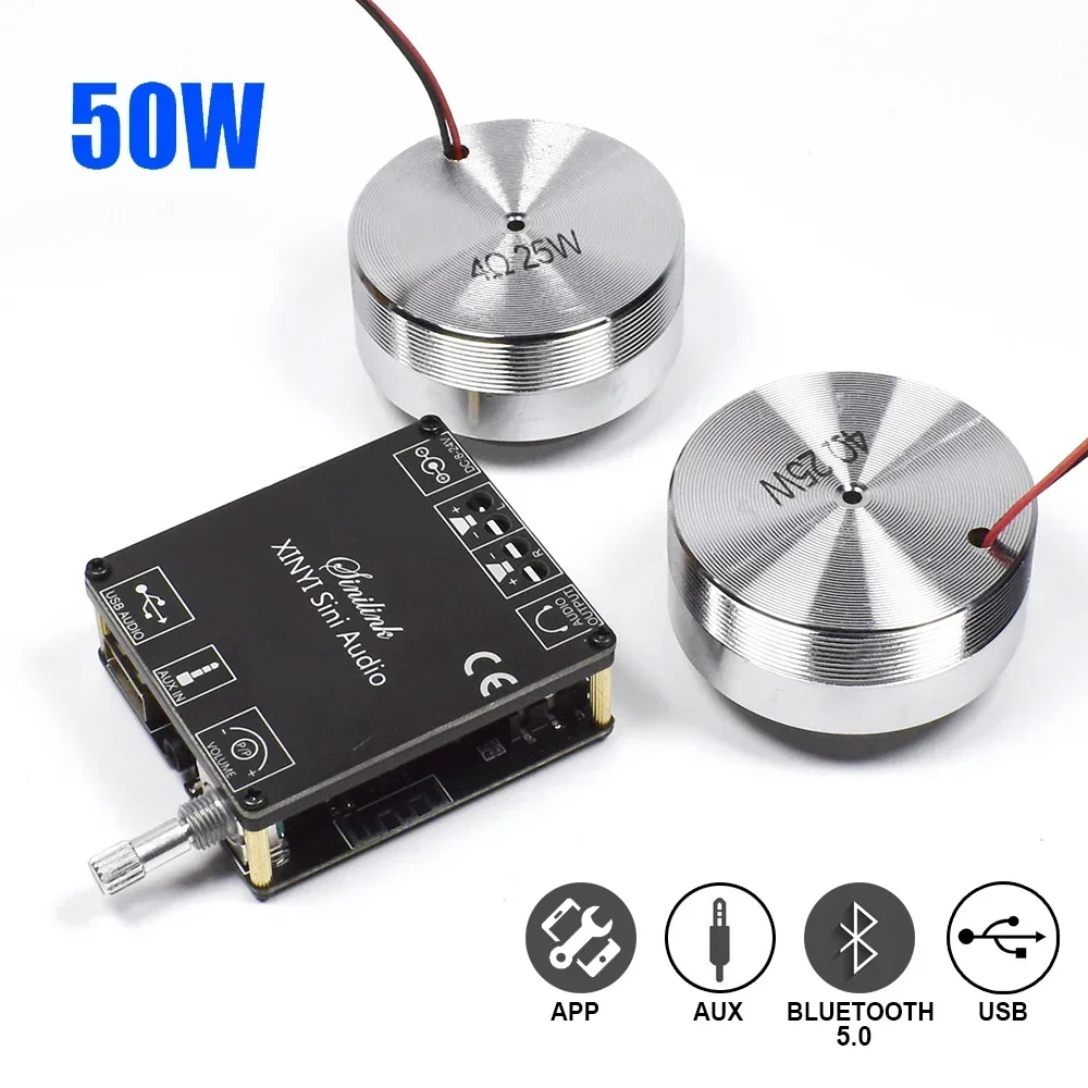 2*25W Portable Stereo Vibratio - Home Cinema Amplifier ulasan dan harga