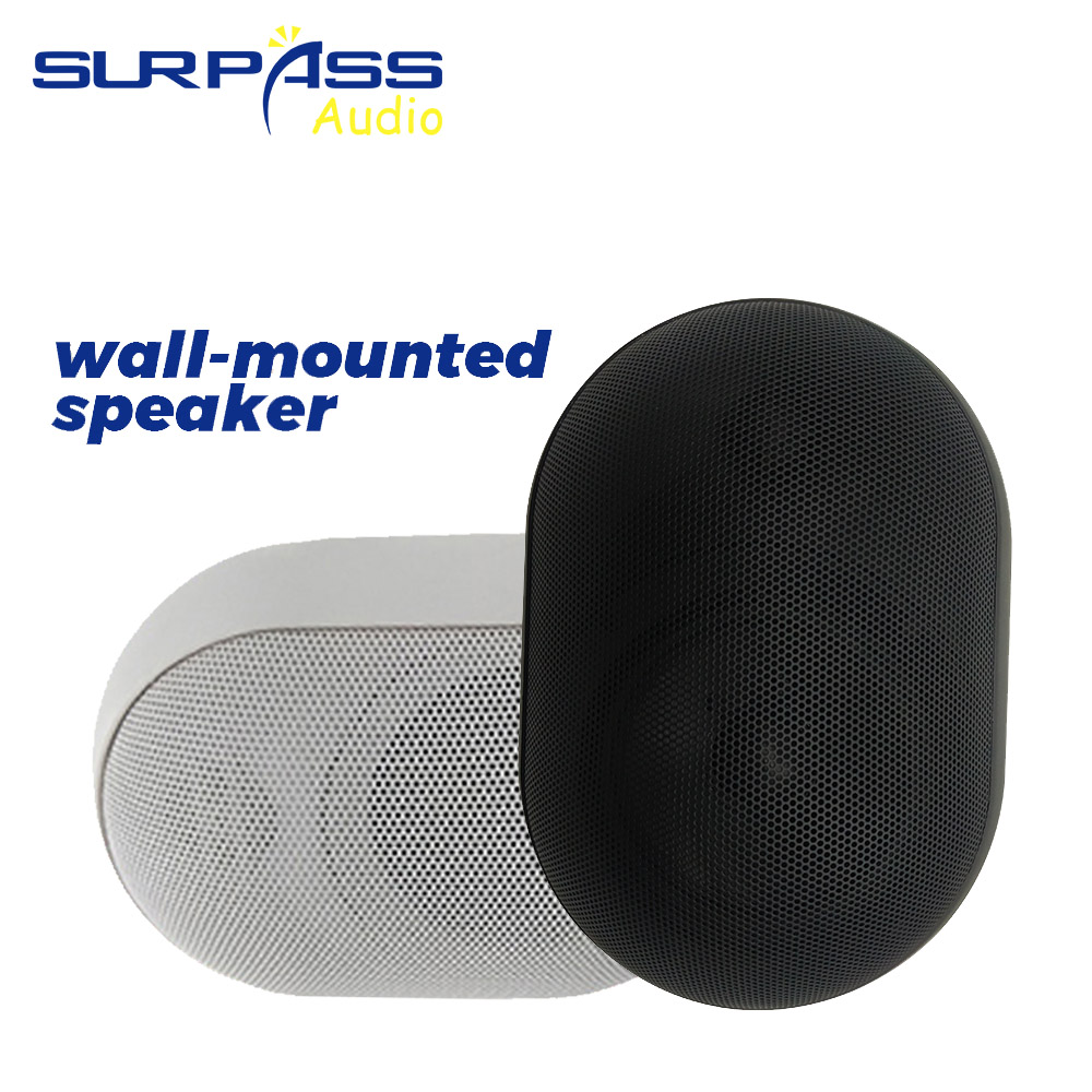 30W Wall-mounted Speaker Water - Wall Mount Speaker ulasan dan harga