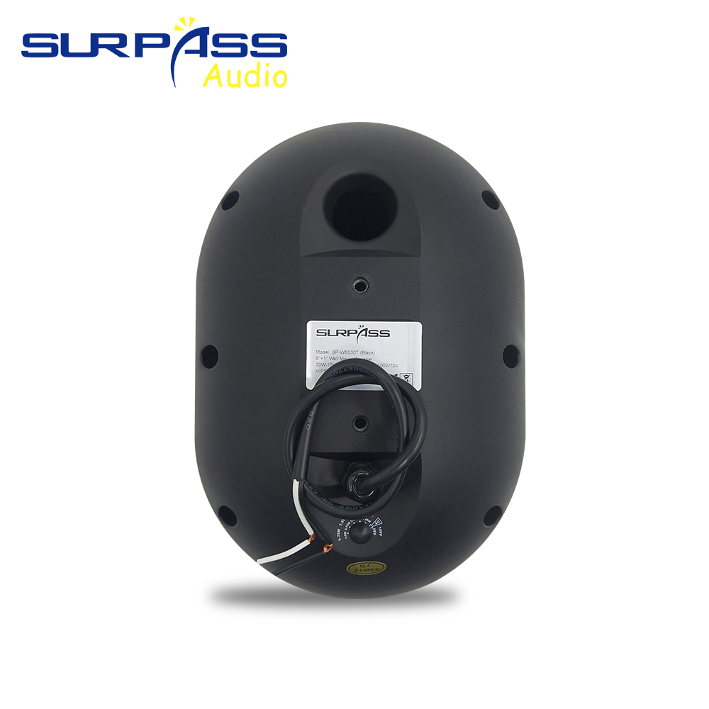 30W Wall-mounted Speaker Water - Wall Mount Speaker ulasan dan harga